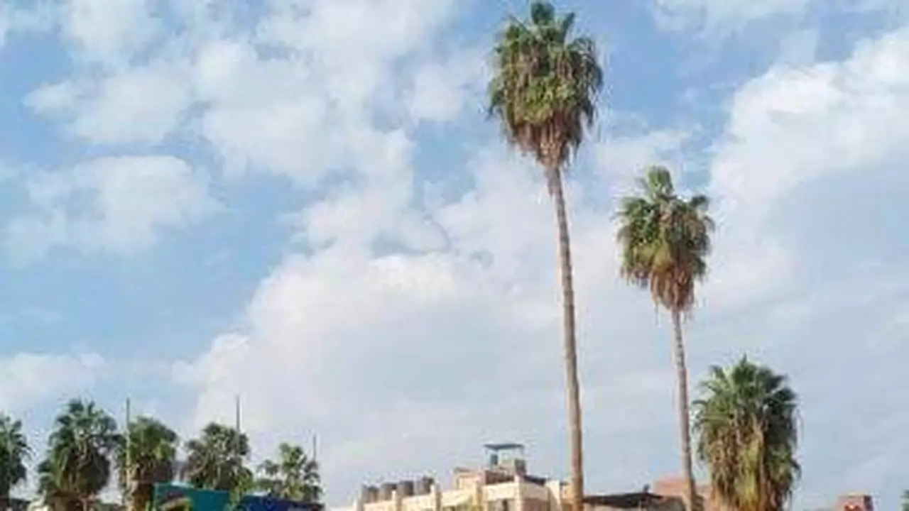 طقس ربيعي مستقر يسبق موجة حارة محتملة في فترة الأعياد المقبلة